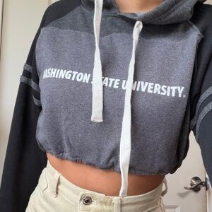 Washington State Crop Hoodie Sweatshirt Vintage Charcoal Small
